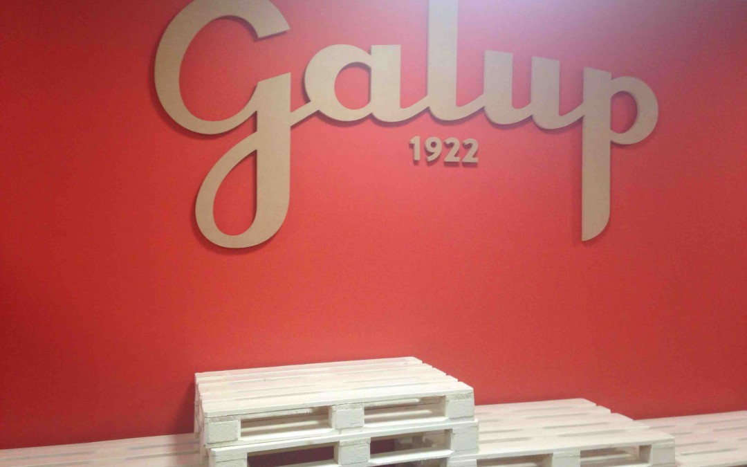 GALUP, RESTYLING SHOWROOM!!!